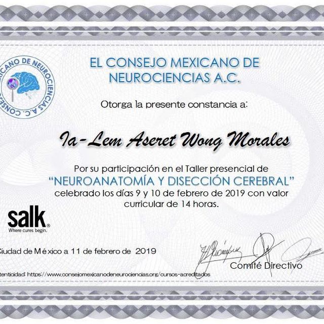 Ampliar imagen: certificate 4