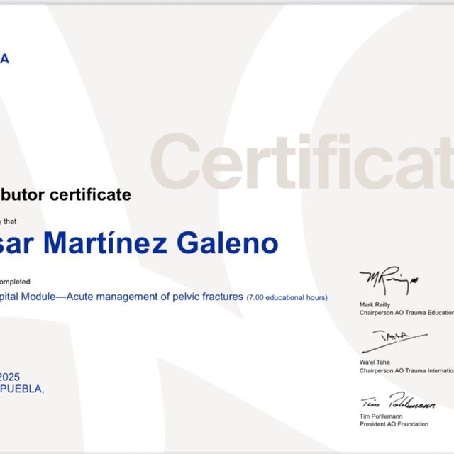 Ampliar imagen: certificate 12