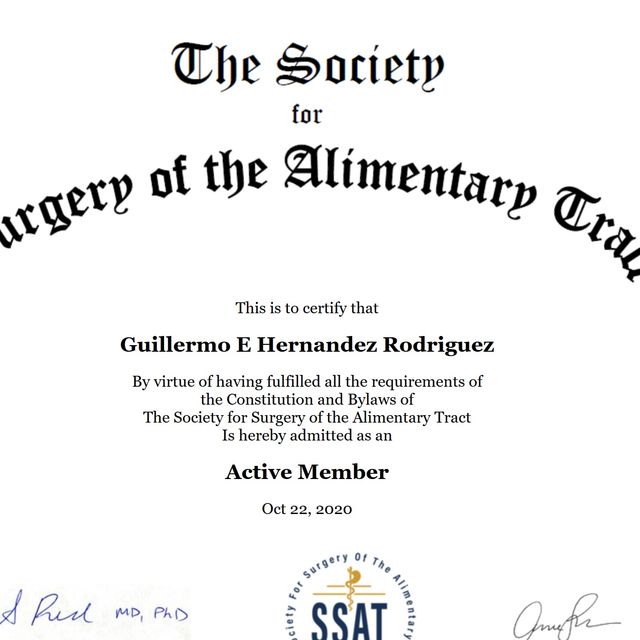 Ampliar imagen: certificate 15