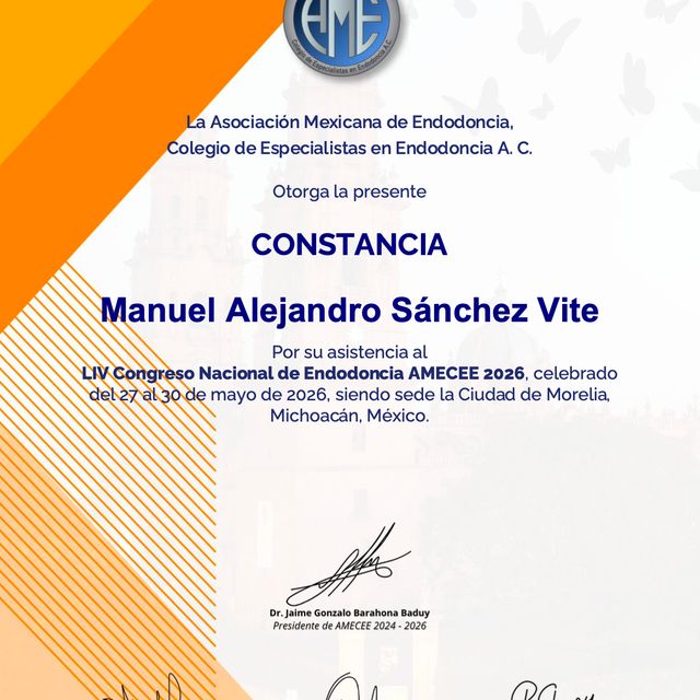 Ampliar imagen: certificate 4