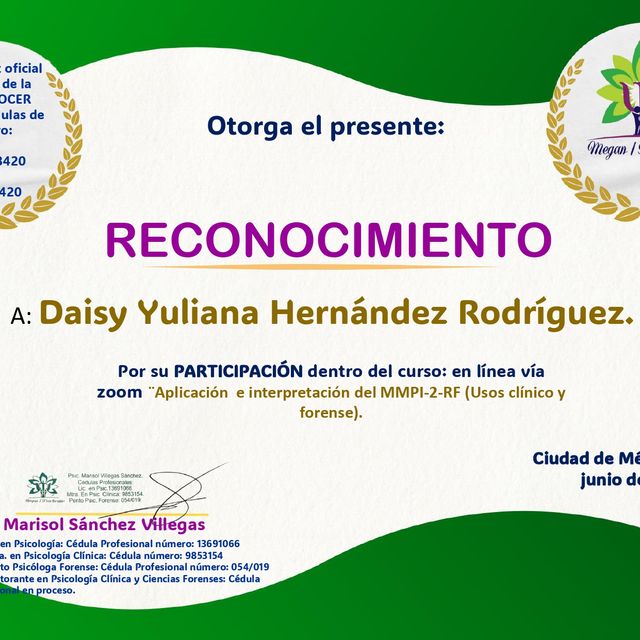 Ampliar imagen: certificate 19