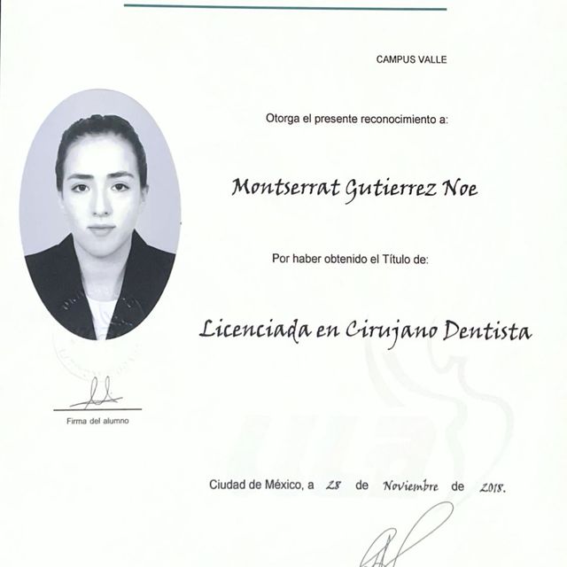 Ampliar imagen: certificate 1