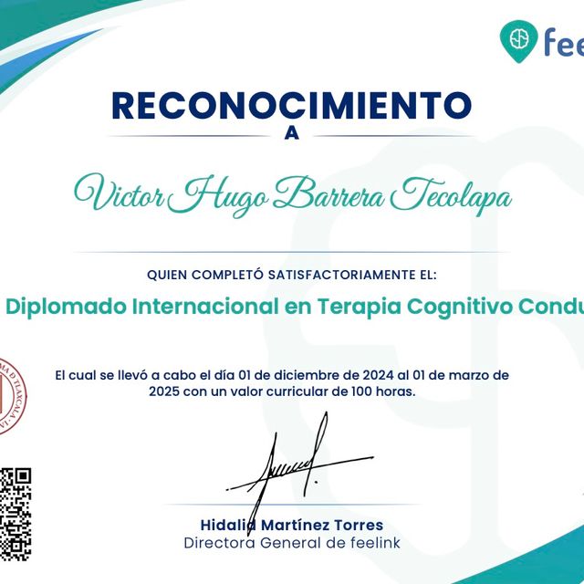 Ampliar imagen: certificate 49