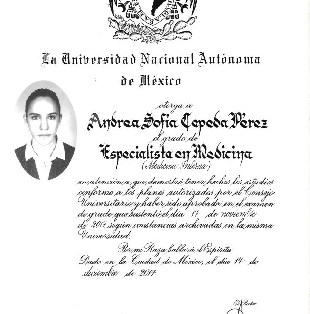 Ampliar imagen: certificate 4