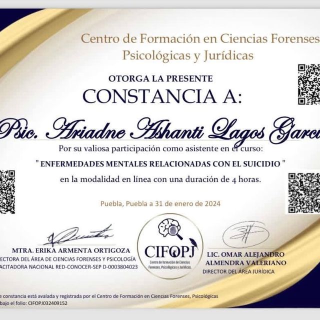 Ampliar imagen: certificate 9
