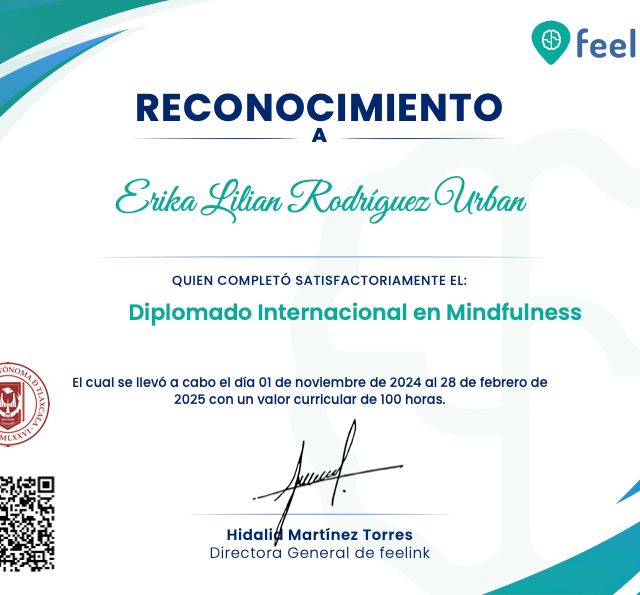 Ampliar imagen: certificate 4