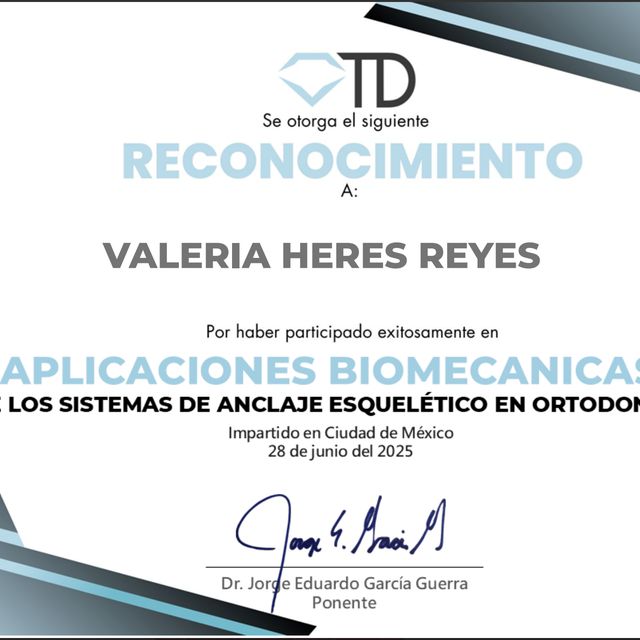 Ampliar imagen: certificate 3