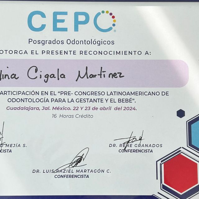 Ampliar imagen: certificate 6