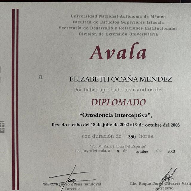 Ampliar imagen: certificate 8