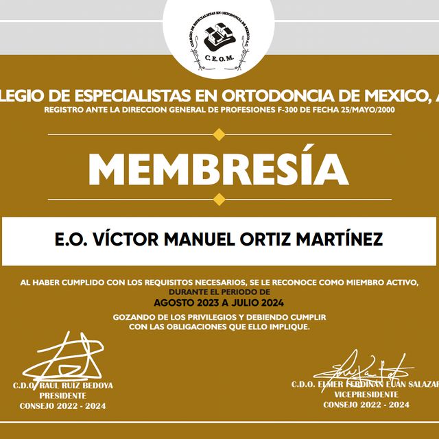 Ampliar imagen: certificate 8
