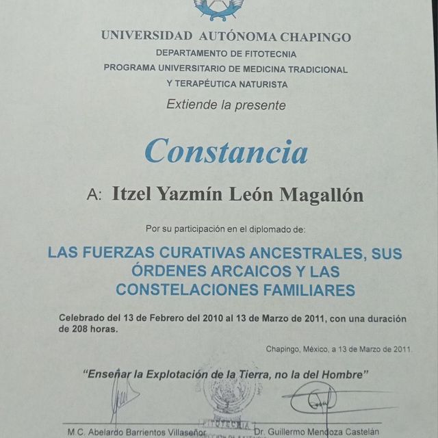 Ampliar imagen: certificate 5