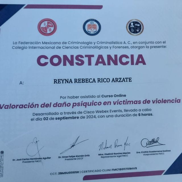 Ampliar imagen: certificate 4
