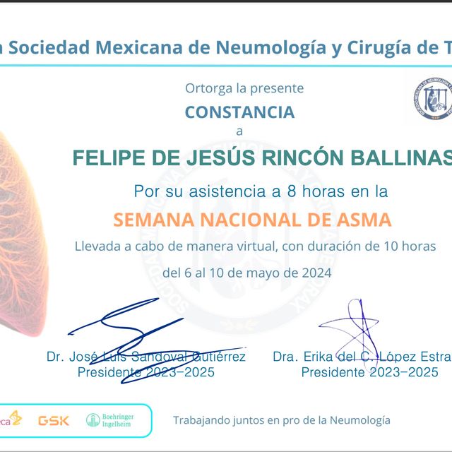 Ampliar imagen: certificate 2