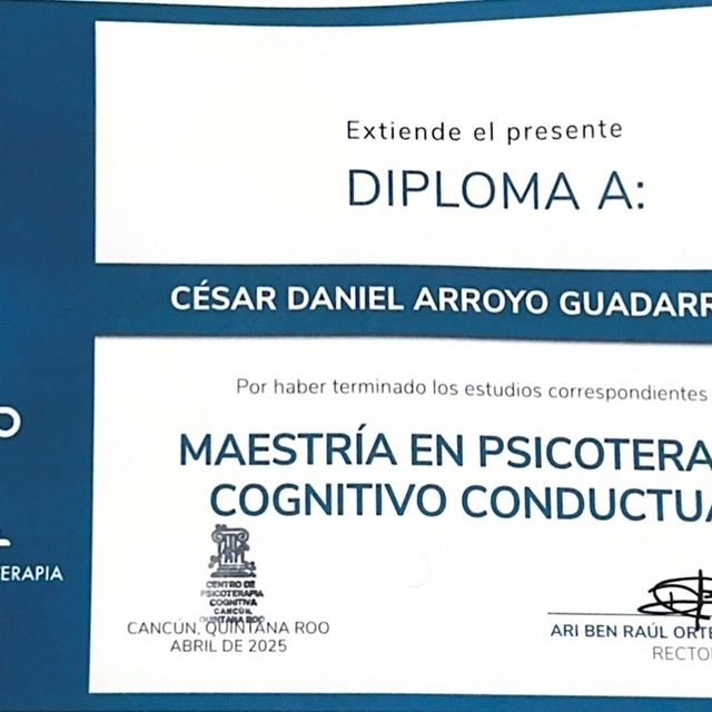Ampliar imagen: certificate 1