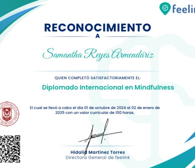 Ampliar imagen: certificate 1