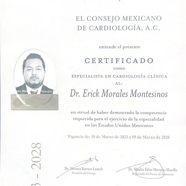 Ampliar imagen: certificate 1