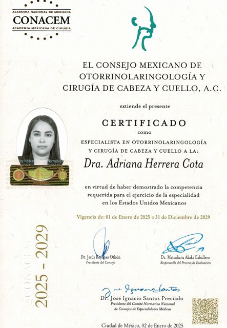 Ampliar imagen: certificate 2