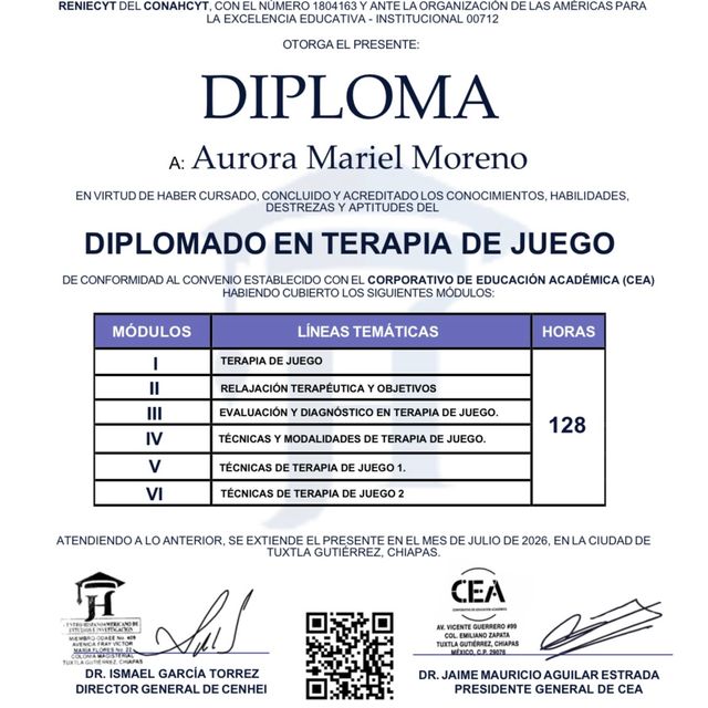 Ampliar imagen: certificate 2