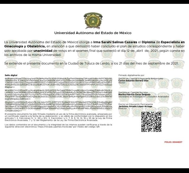 Ampliar imagen: certificate 1