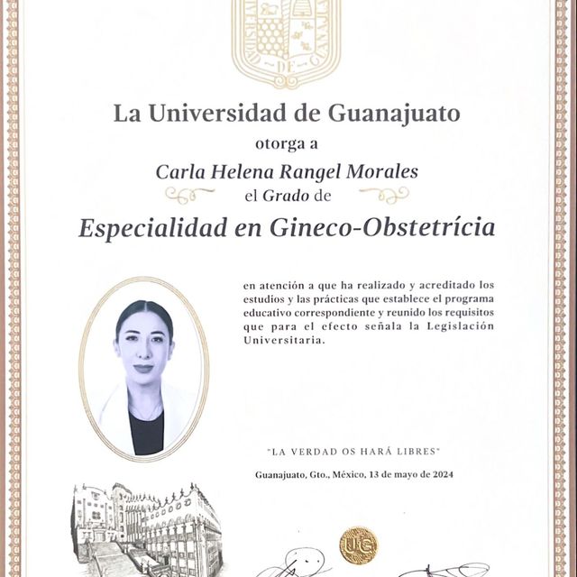 Ampliar imagen: certificate 2