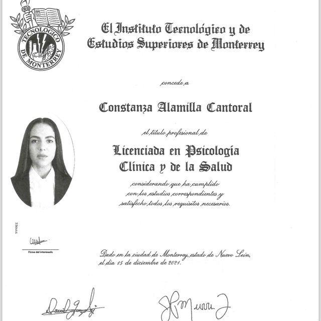 Ampliar imagen: certificate 4