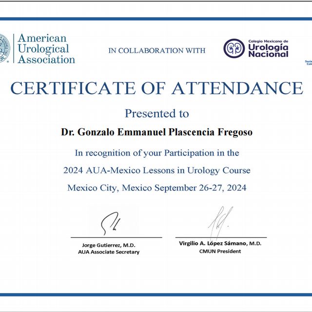 Ampliar imagen: certificate 1