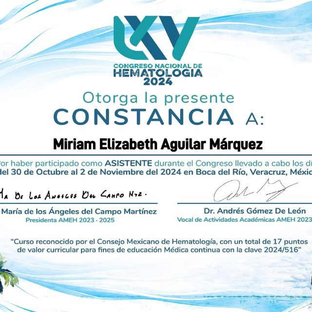 Ampliar imagen: certificate 6