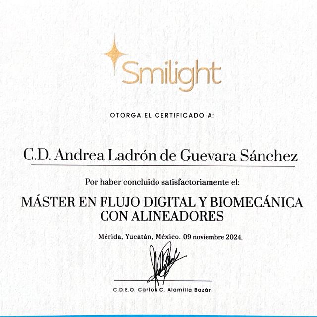 Ampliar imagen: certificate 2
