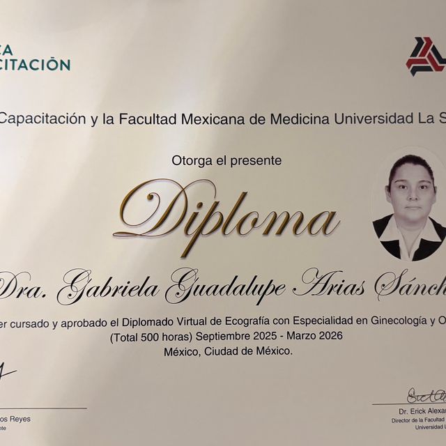 Ampliar imagen: certificate 5