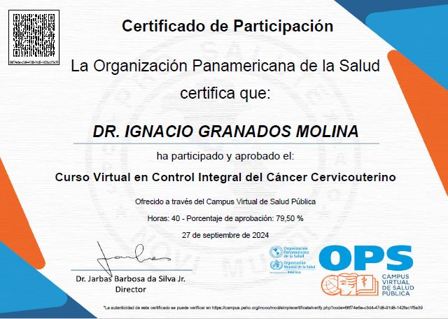 Ampliar imagen: certificate 21