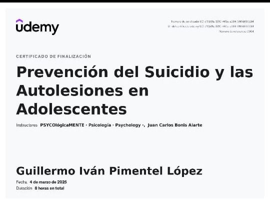 Ampliar imagen: certificate 1