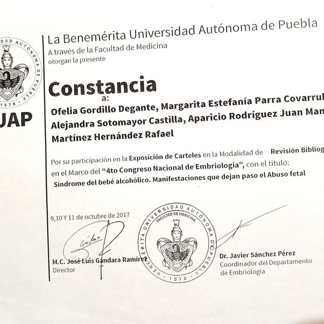 Ampliar imagen: certificate 4
