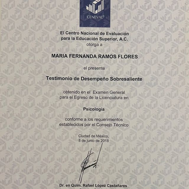 Ampliar imagen: certificate 4
