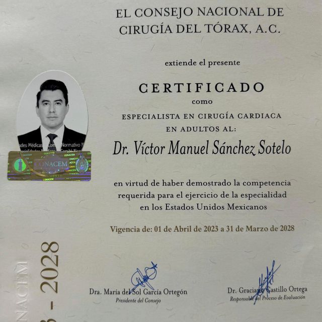 Ampliar imagen: certificate 1