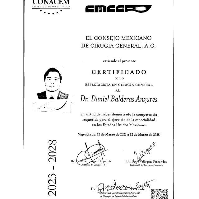Ampliar imagen: certificate 2