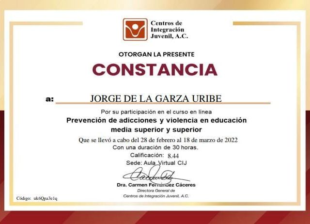 Ampliar imagen: certificate 12