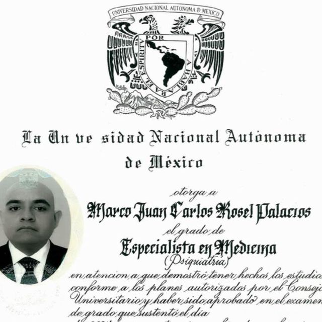 Ampliar imagen: certificate 1