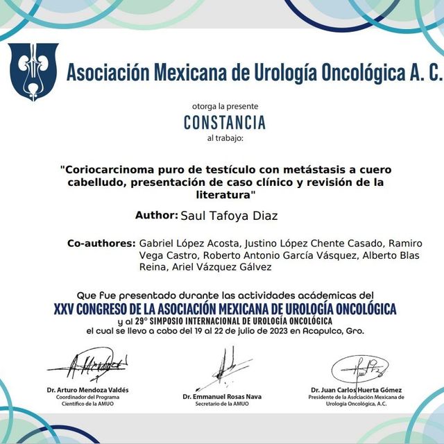 Ampliar imagen: certificate 10