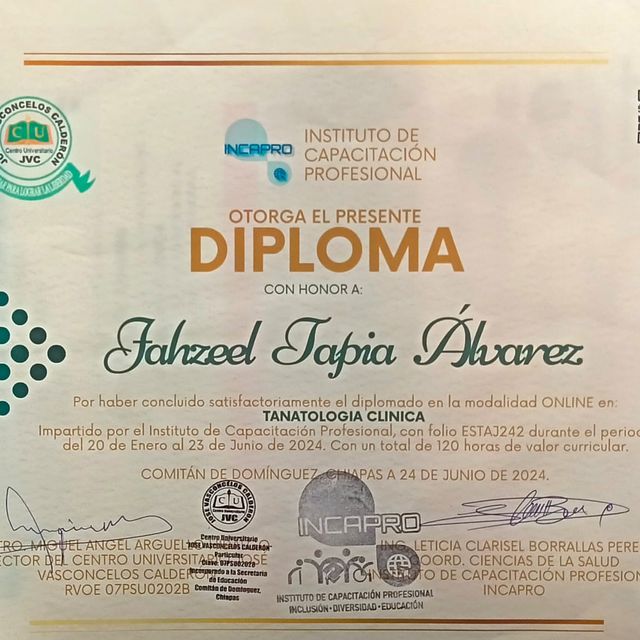 Ampliar imagen: certificate 14