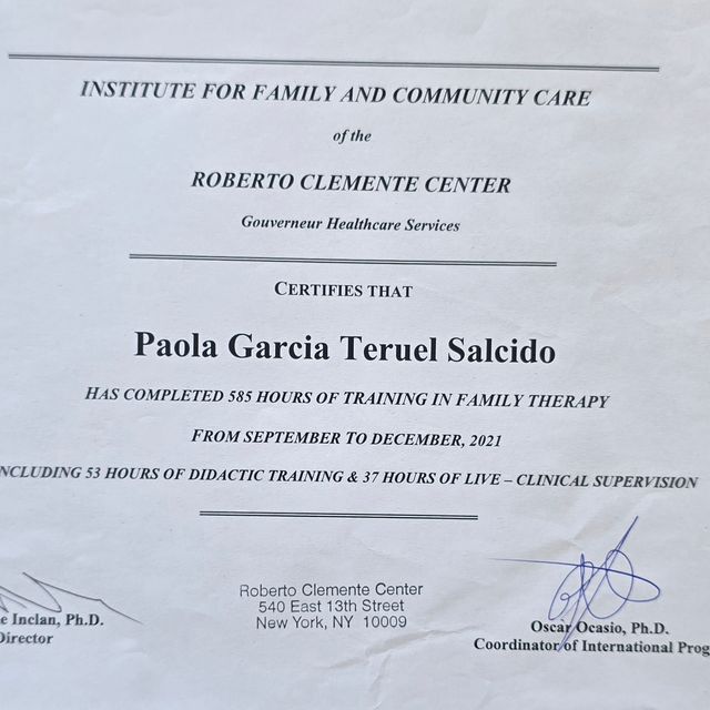 Ampliar imagen: certificate 3
