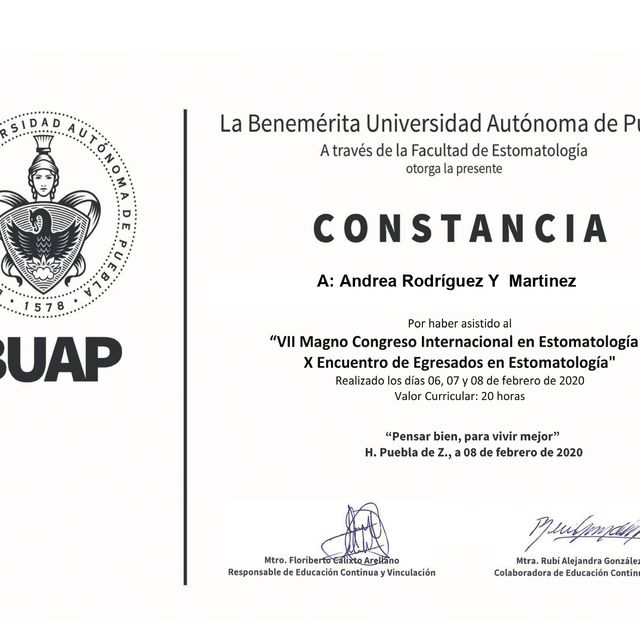 Ampliar imagen: certificate 5