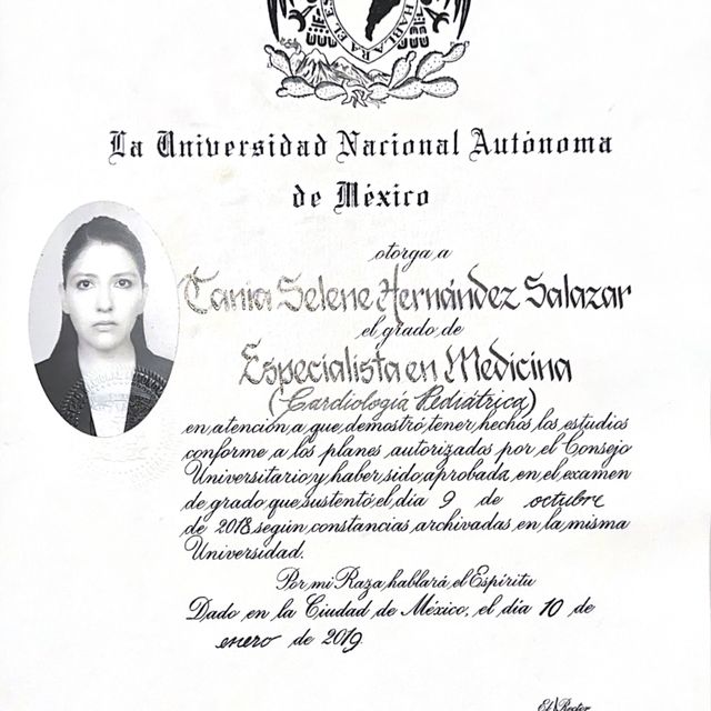 Ampliar imagen: certificate 1