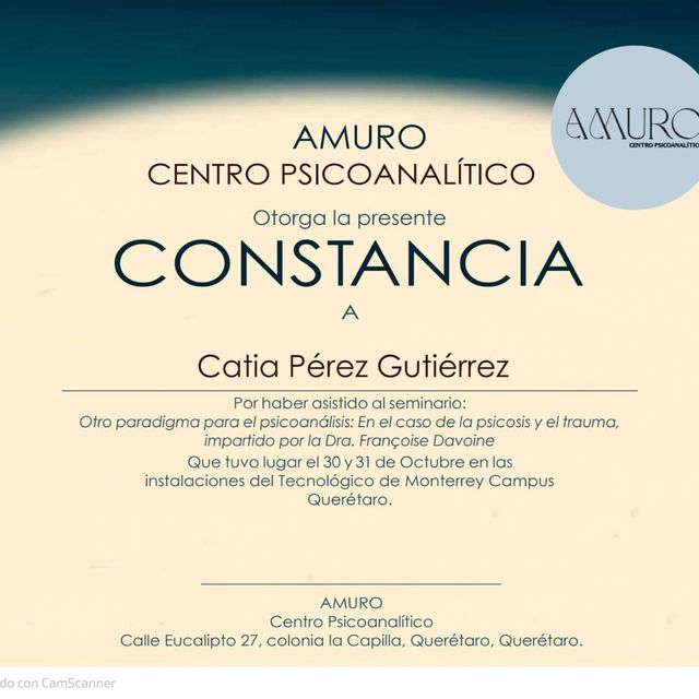 Ampliar imagen: certificate 13