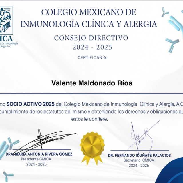 Ampliar imagen: certificate 12
