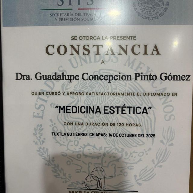 Ampliar imagen: certificate 1