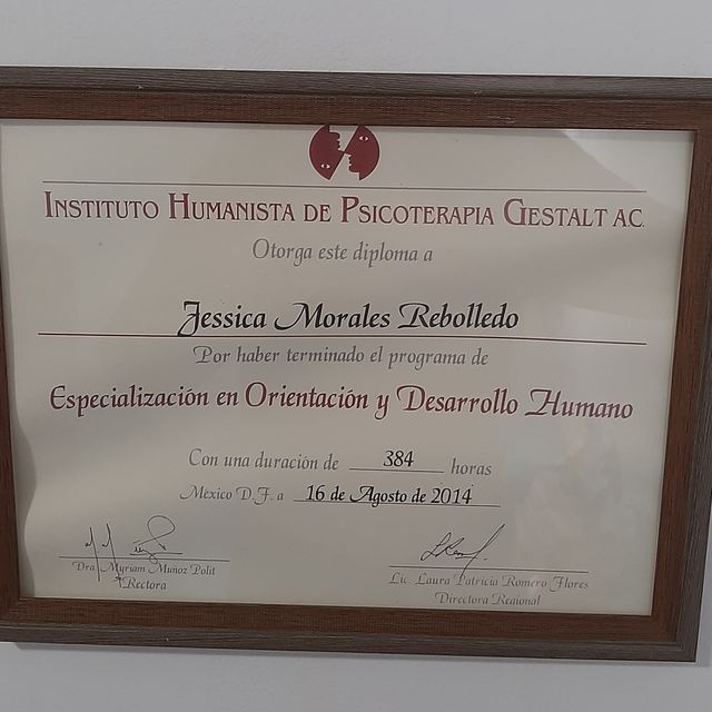 Ampliar imagen: certificate 27