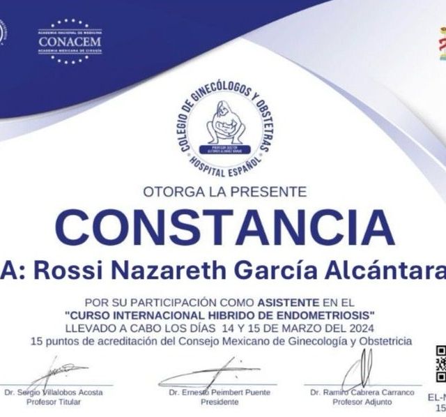 Ampliar imagen: certificate 4