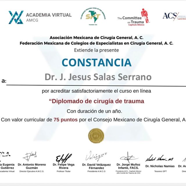 Ampliar imagen: certificate 2