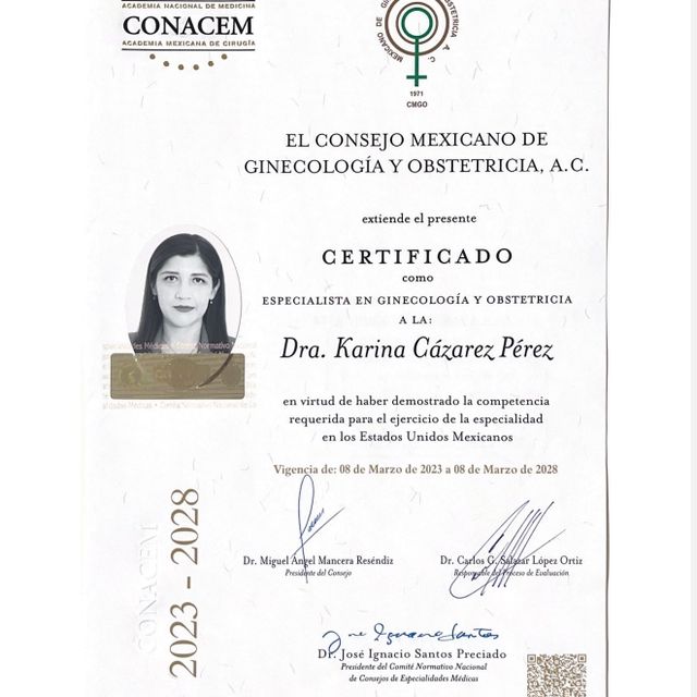 Ampliar imagen: certificate 2