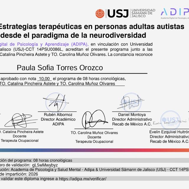 Ampliar imagen: certificate 15